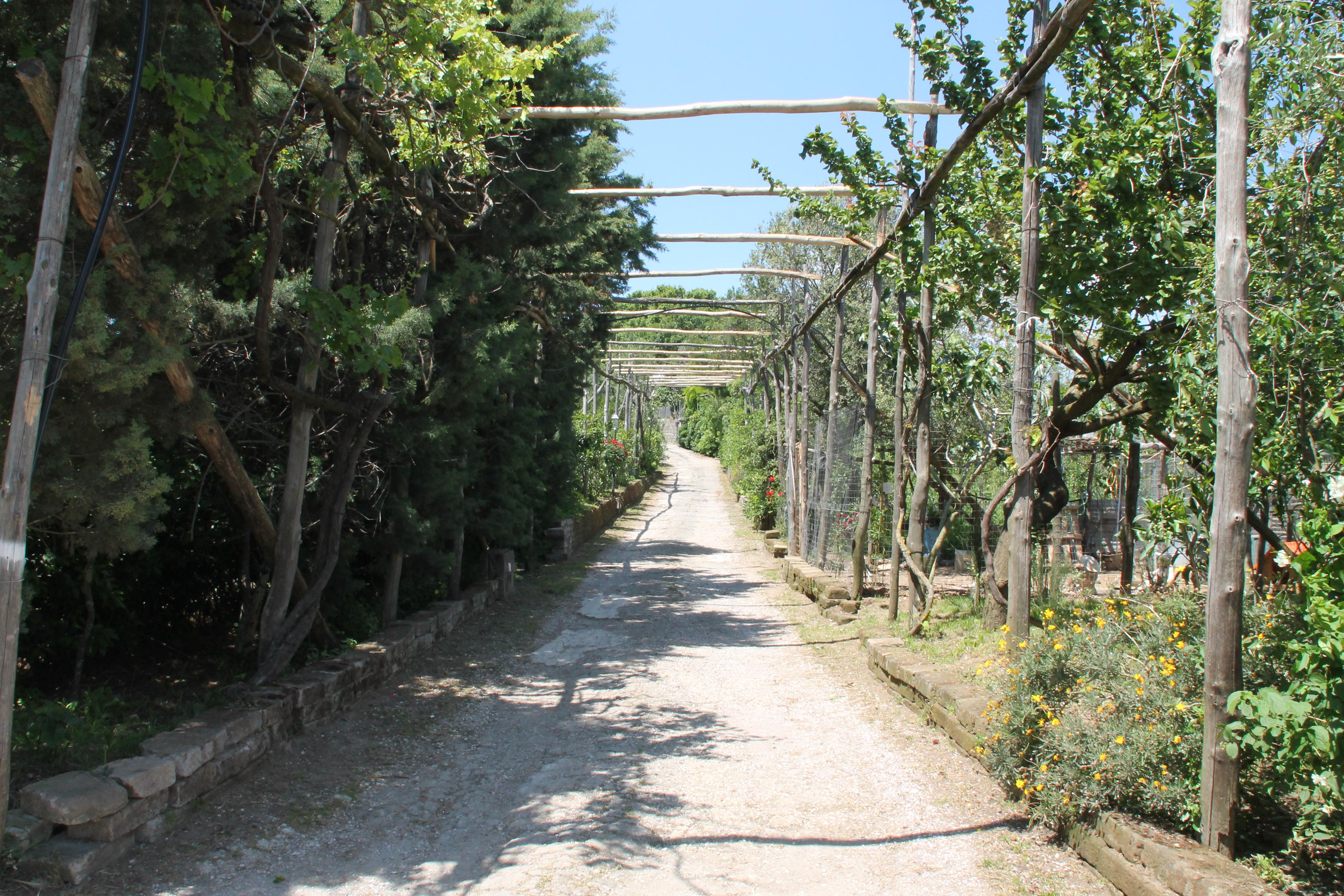 Agriturismo Piccolo Paradiso Piano di Sorrento Dış mekan fotoğraf