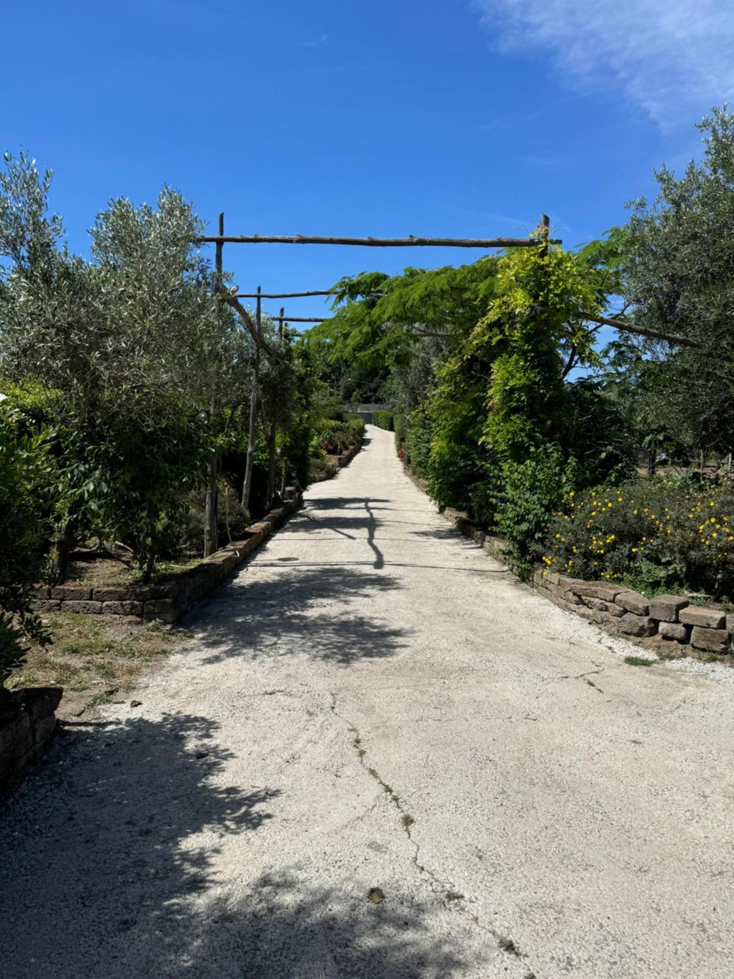 Agriturismo Piccolo Paradiso Piano di Sorrento Dış mekan fotoğraf
