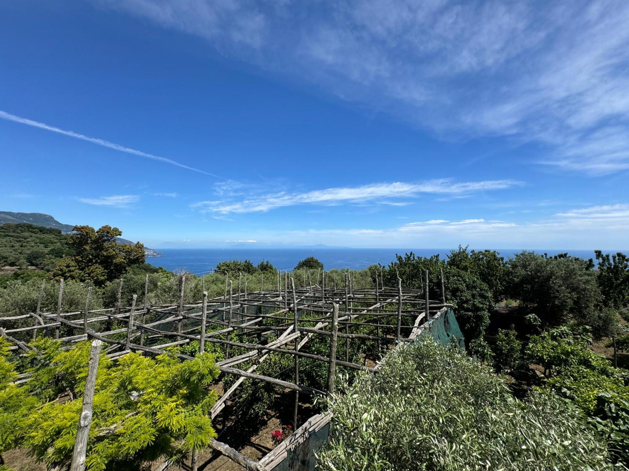 Agriturismo Piccolo Paradiso Piano di Sorrento Dış mekan fotoğraf