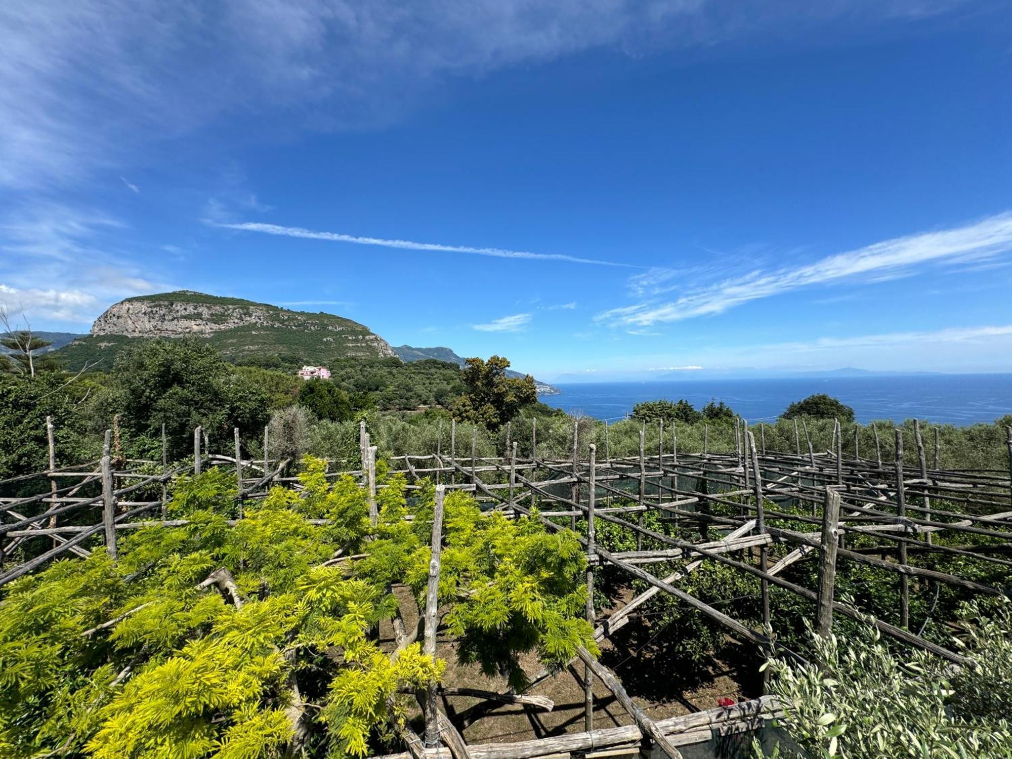 Agriturismo Piccolo Paradiso Piano di Sorrento Dış mekan fotoğraf