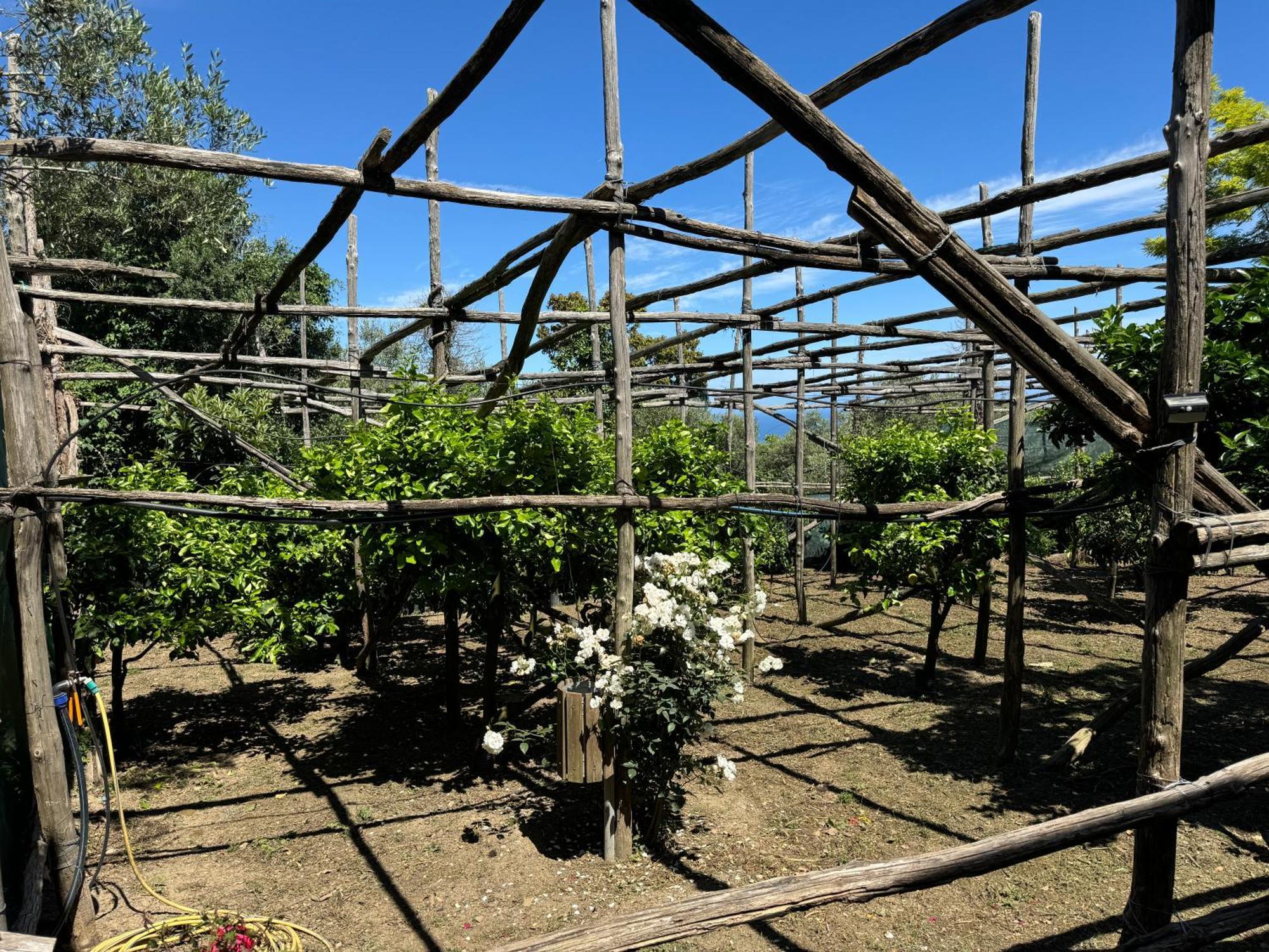Agriturismo Piccolo Paradiso Piano di Sorrento Dış mekan fotoğraf