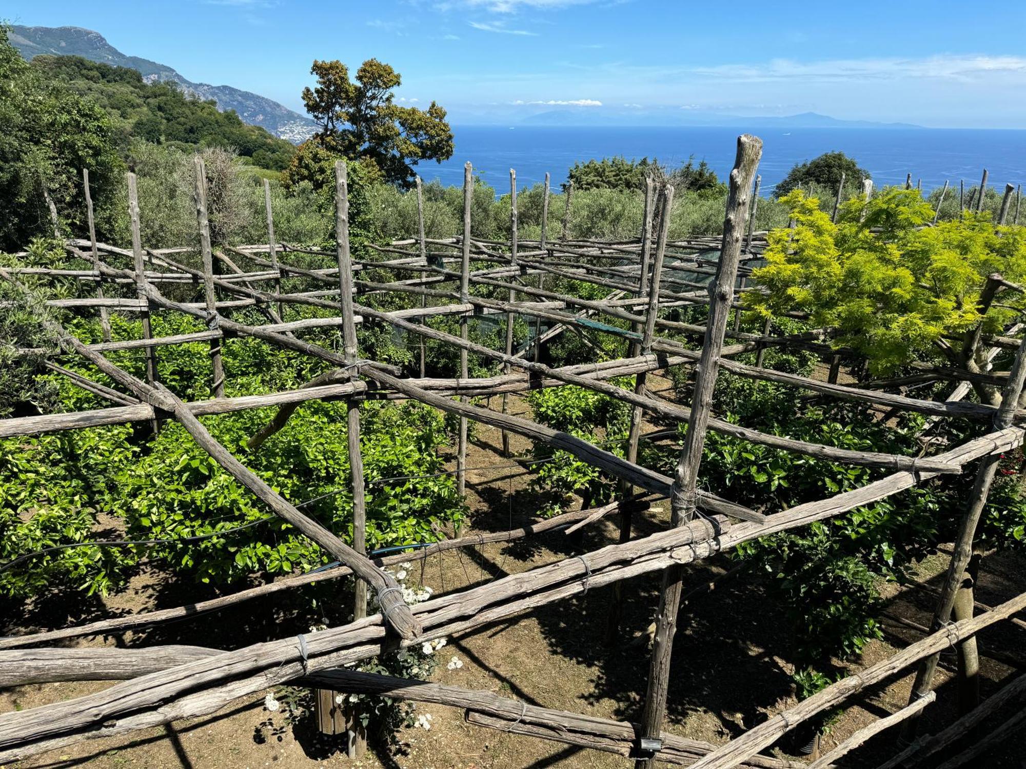 Agriturismo Piccolo Paradiso Piano di Sorrento Dış mekan fotoğraf