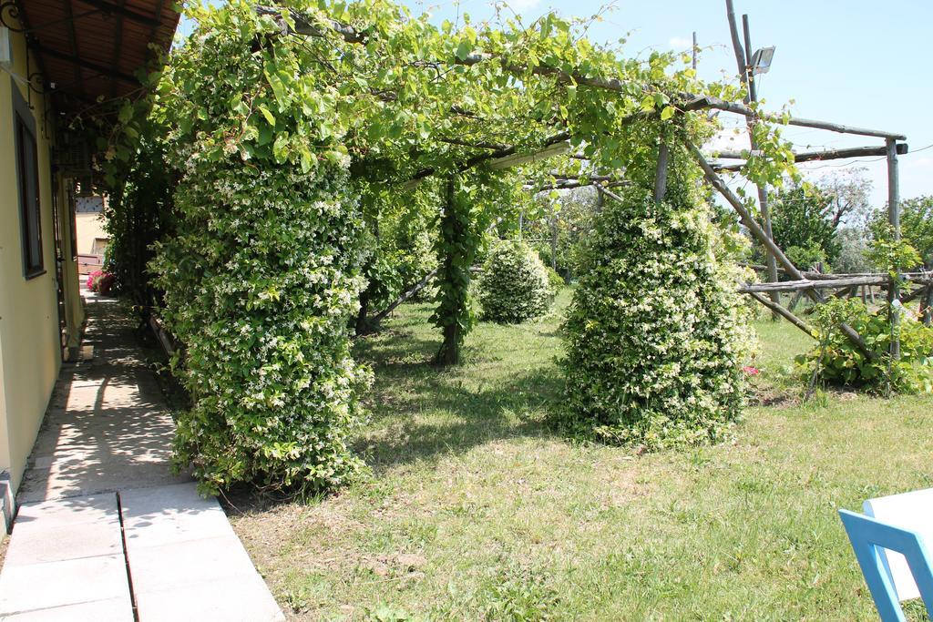 Agriturismo Piccolo Paradiso Piano di Sorrento Dış mekan fotoğraf