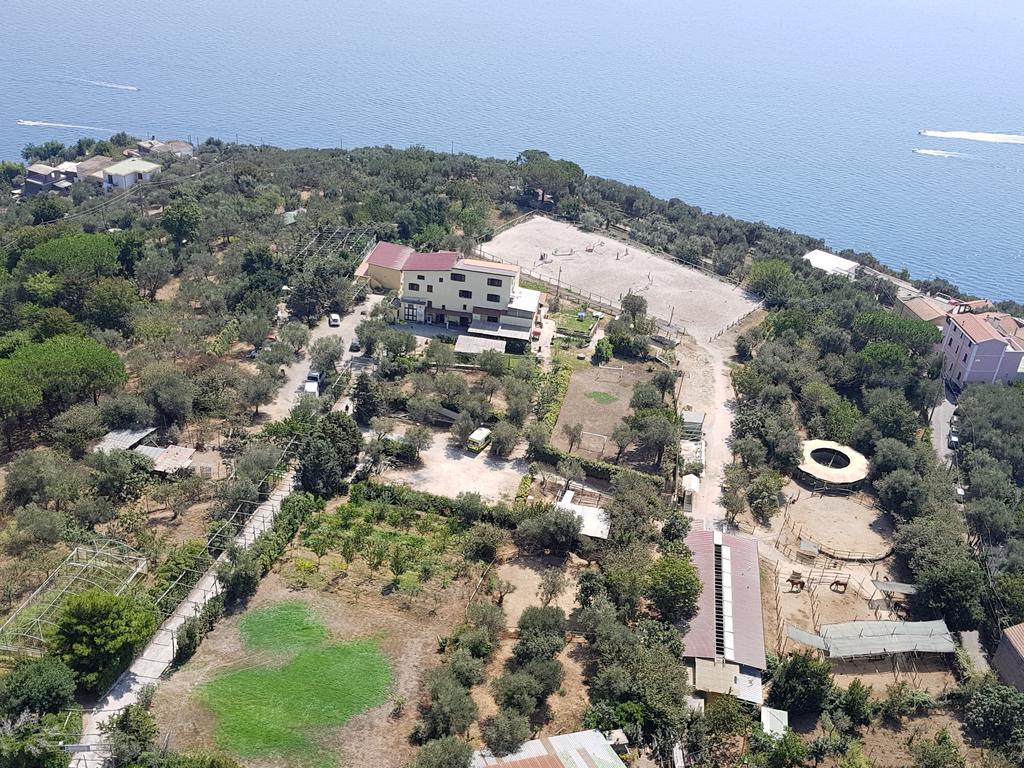 Agriturismo Piccolo Paradiso Piano di Sorrento Dış mekan fotoğraf