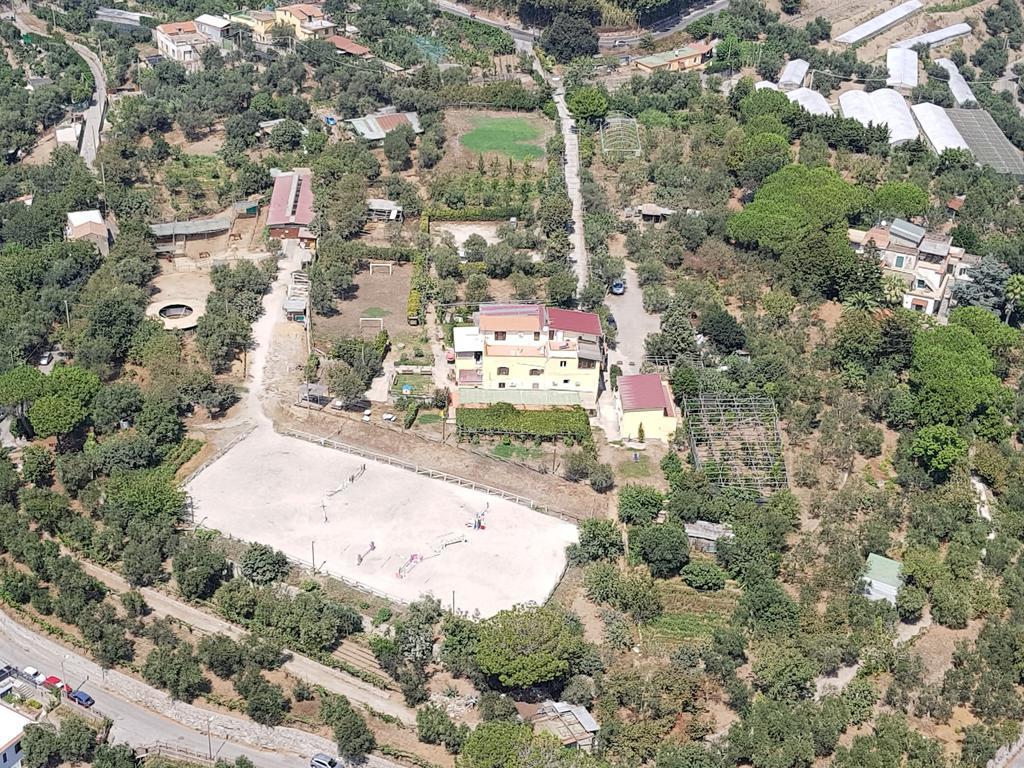 Agriturismo Piccolo Paradiso Piano di Sorrento Dış mekan fotoğraf