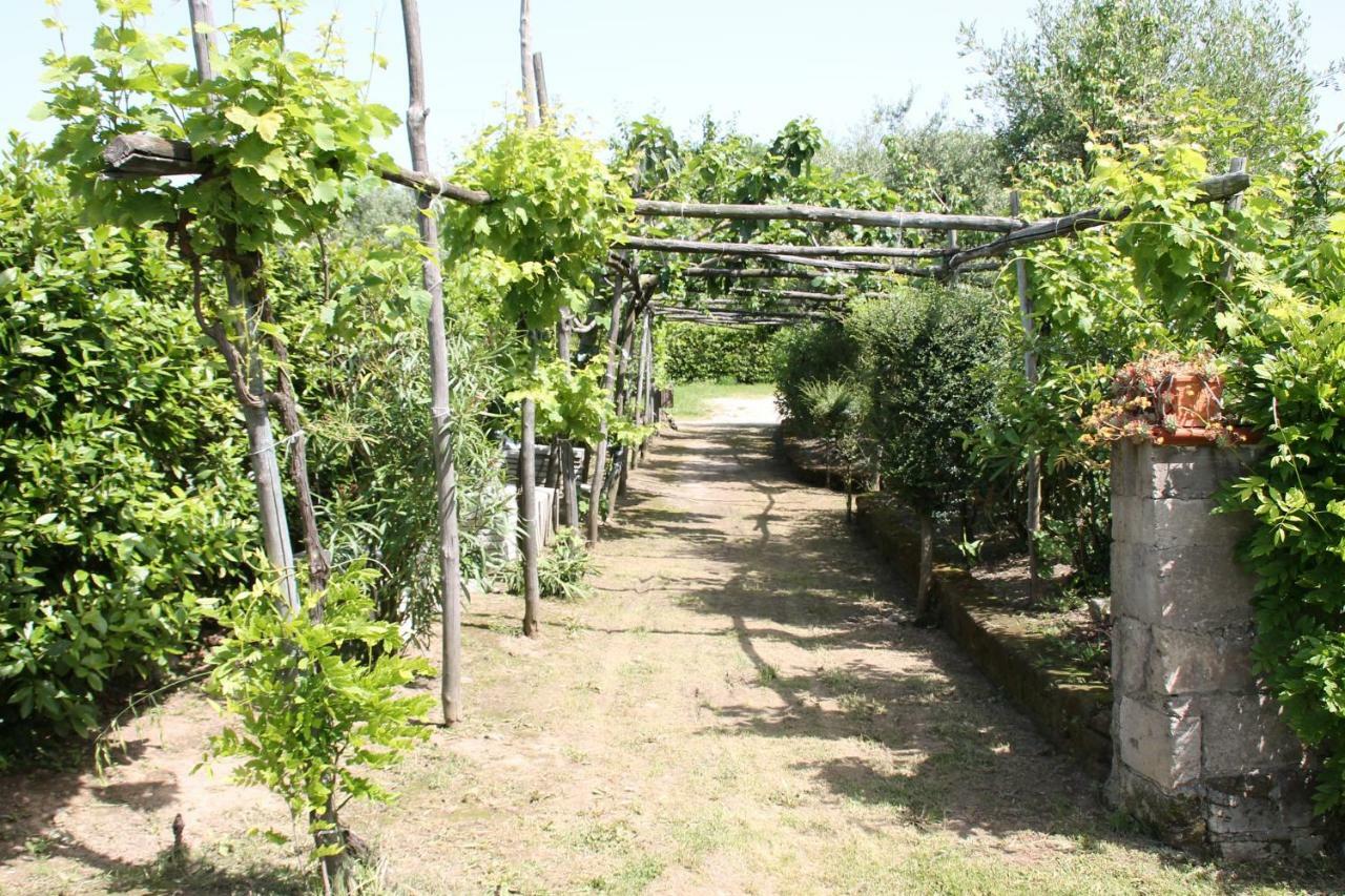 Agriturismo Piccolo Paradiso Piano di Sorrento Dış mekan fotoğraf